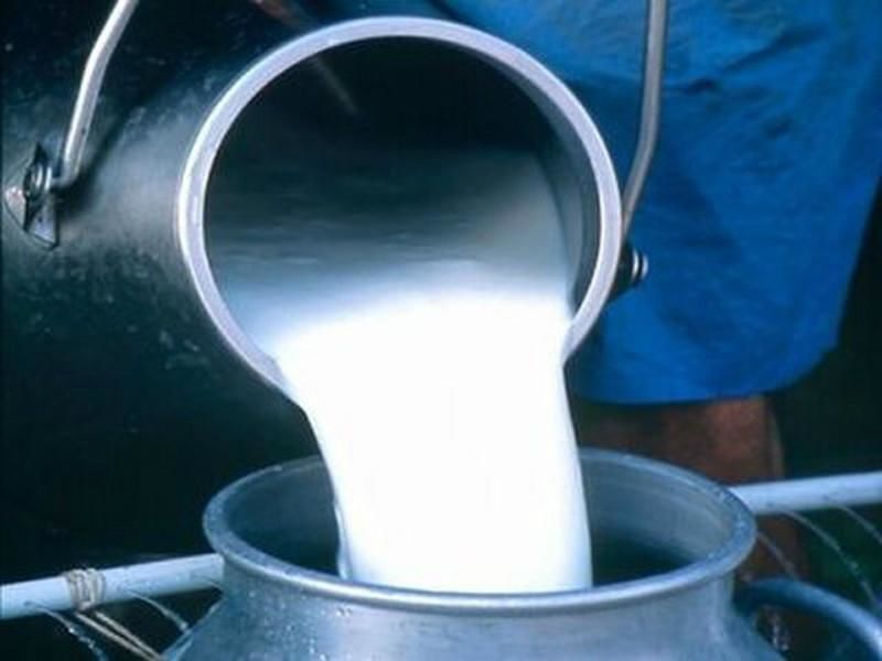 ООО « Империя» закупает молоко у населения
