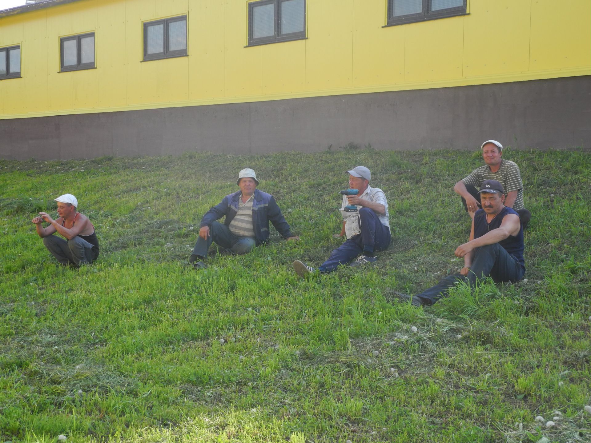 Работники животноводческого комплекса хозяйства "Кулон-Агро"  встречают Сабантуй с хорошими результатами труда