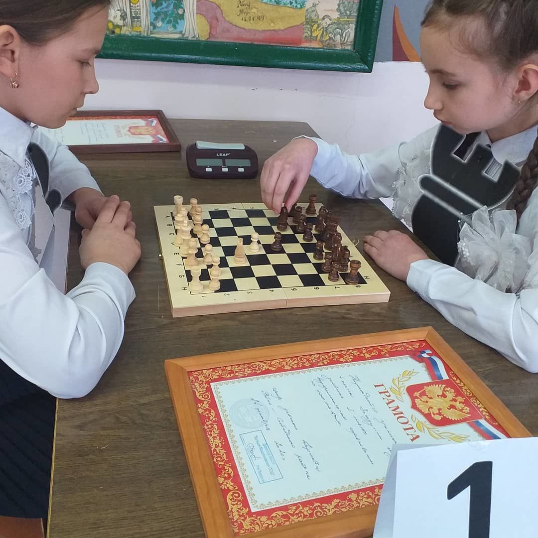 В Рыбно-Слободских  школах появятся зоны для игры в шахматы