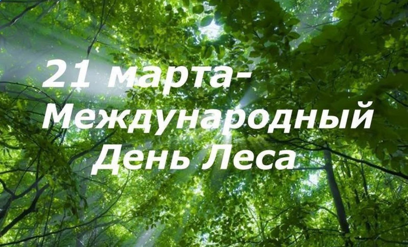 Фотоловушки и квадрокоптеры: Минлесхоз РТ рассказал, как борется с нарушителями