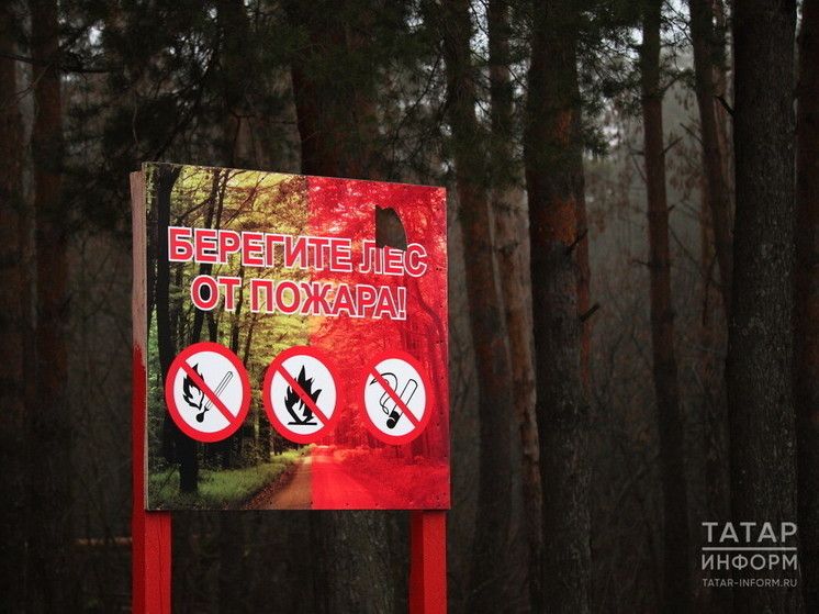 Пожароопасный сезон в Татарстане в этом году планируют ввести с 15 апреля