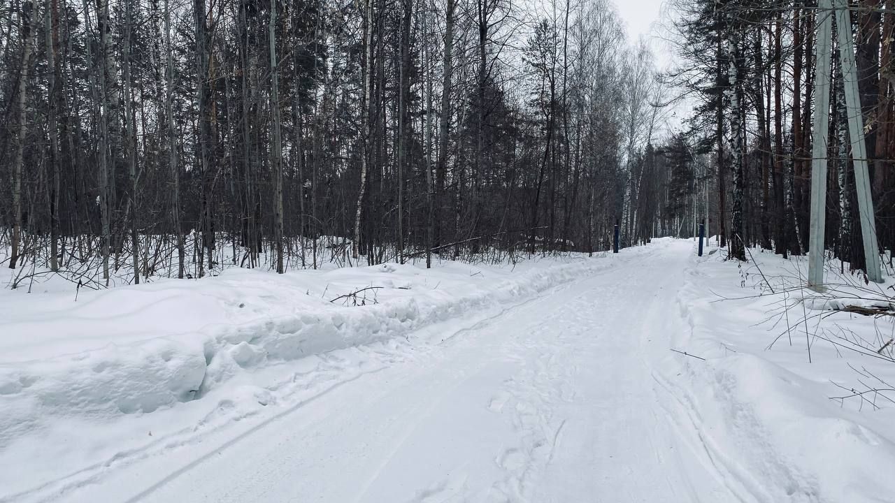Гороскоп на 10 февраля 2025 года