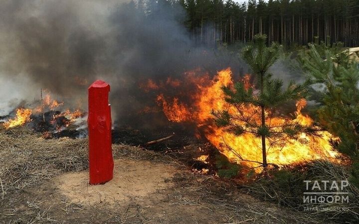 Штрафы за нарушение противопожарного режима в Татарстане на майские праздники увеличены вдвое