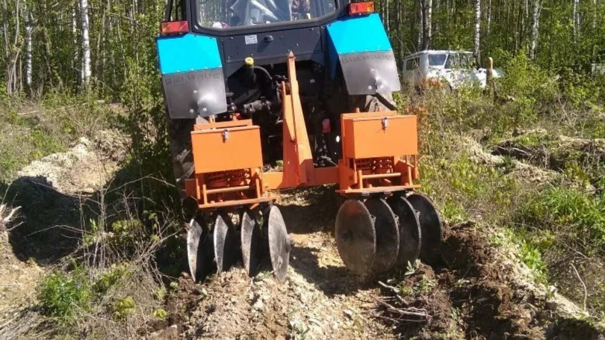 В Татарстане агротехнический уход за лесными культурами провели на площади 11,3 тысячи гектаров.