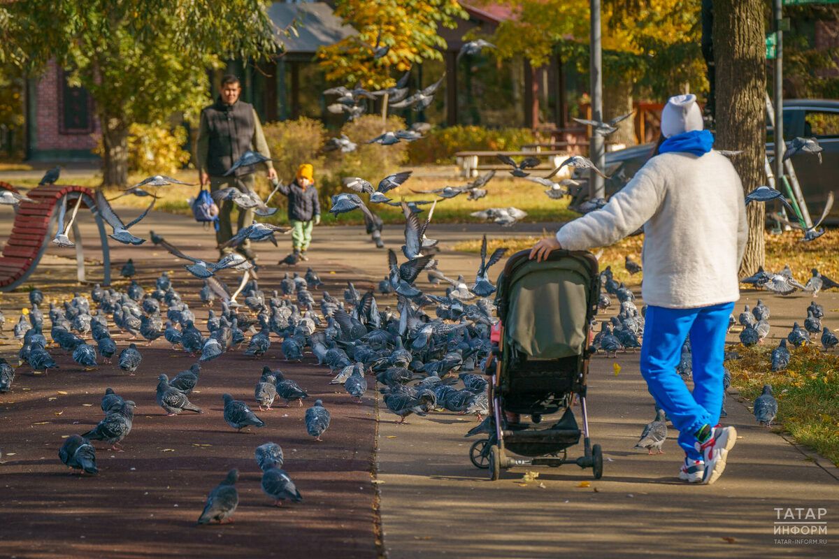 Как продлить ноябрьские праздники в Татарстане до восьми дней