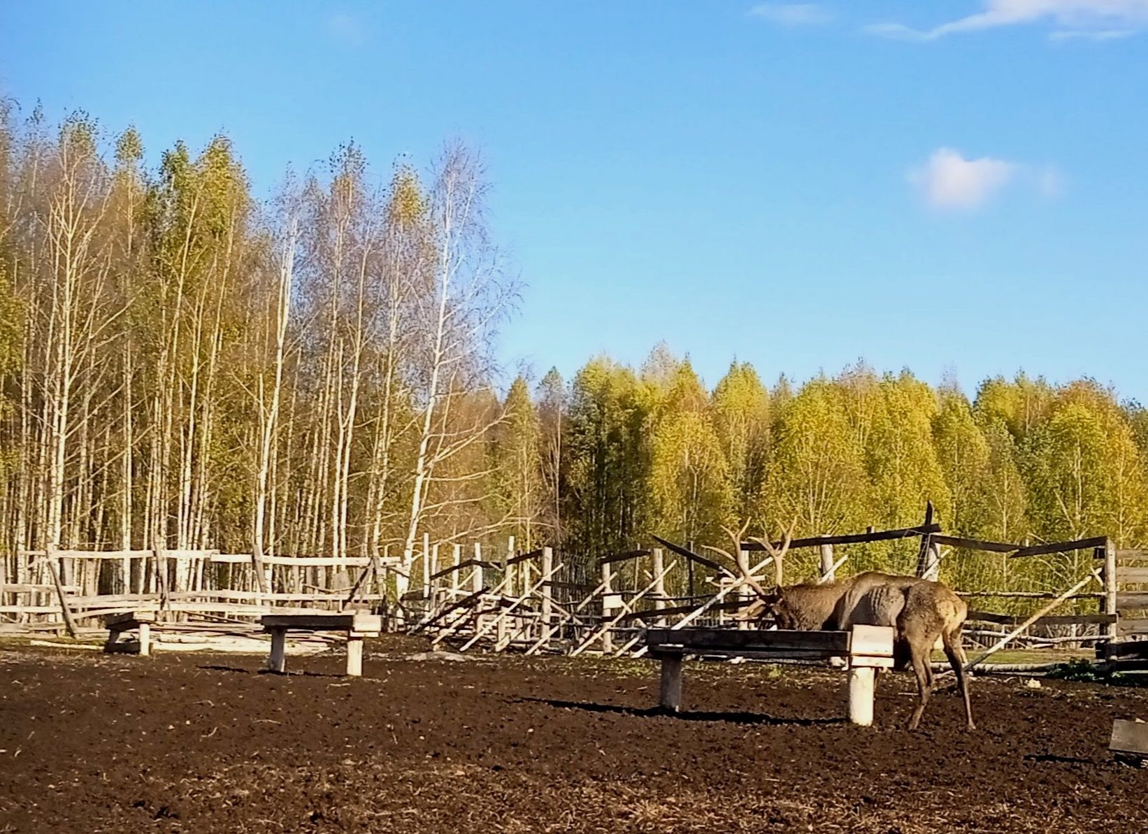 Ветераны побывали на экскурсии на Дикой ферме