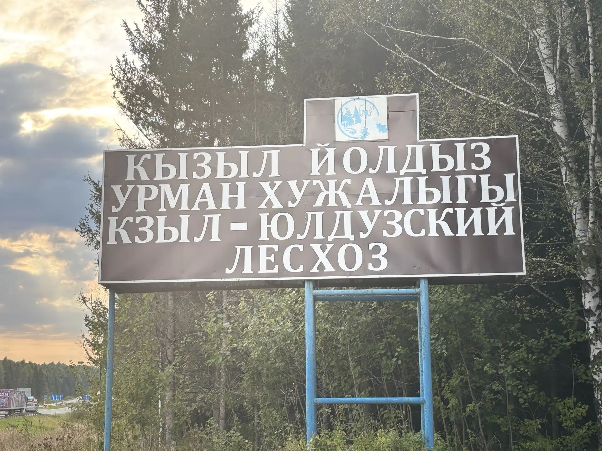 Шаулый урман , шаулый каен җилләр искәндә...