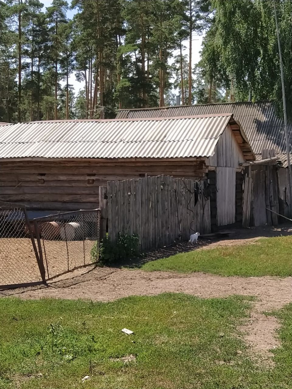 Журналисты редакции "Авыл офыклары"побывали в поселке Камский.