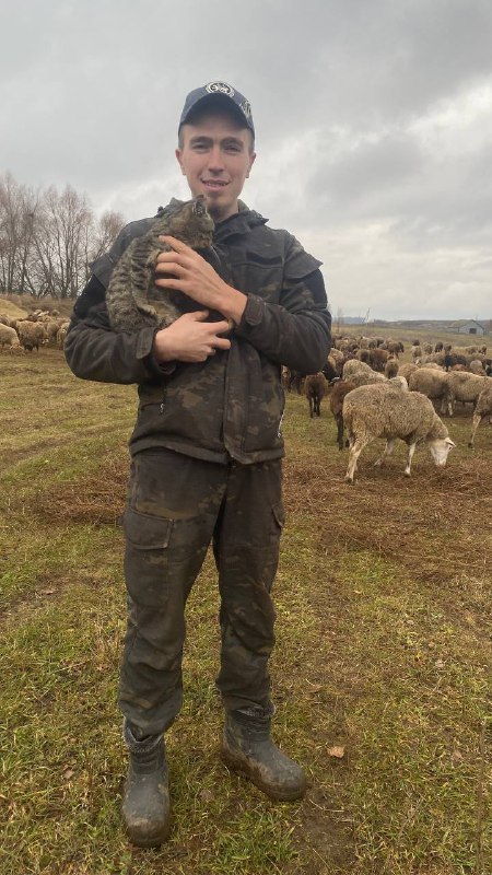Айнур Хакимов из села Юлсубино уже несколько лет занимается животноводством. На его ферме сегодня живут овцы, бычки и лошади.