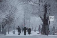 В Татарстане ожидаются метели, мокрый снег и гололед