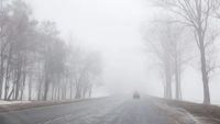 27 ноября в Татарстане ожидаются ледяной дождь, гололед и туман