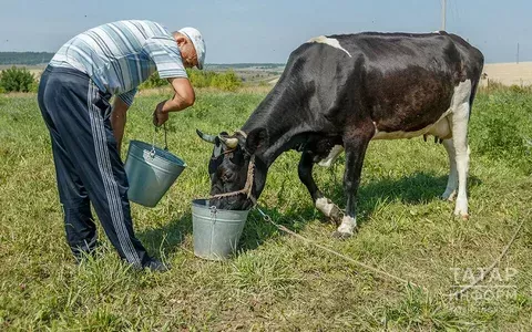Конкурс на лучшую фермерскую династию объявлен в Татарстане