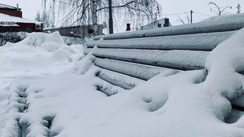 Гороскоп на 27 января 2025 года