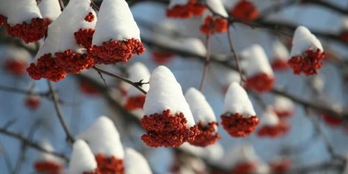 Приметы на 27 января 2025 года: что нельзя делать в этот день