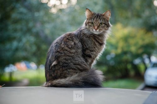 Что нельзя делать 31 января