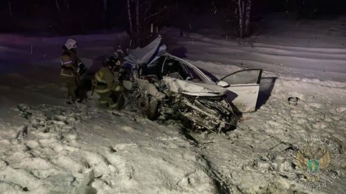 В Татарстане при столкновении иномарки с грузовиком погибло два человека