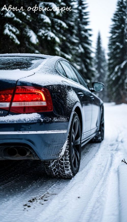 Госавтоинспекция напоминает: время менять шины на зимние