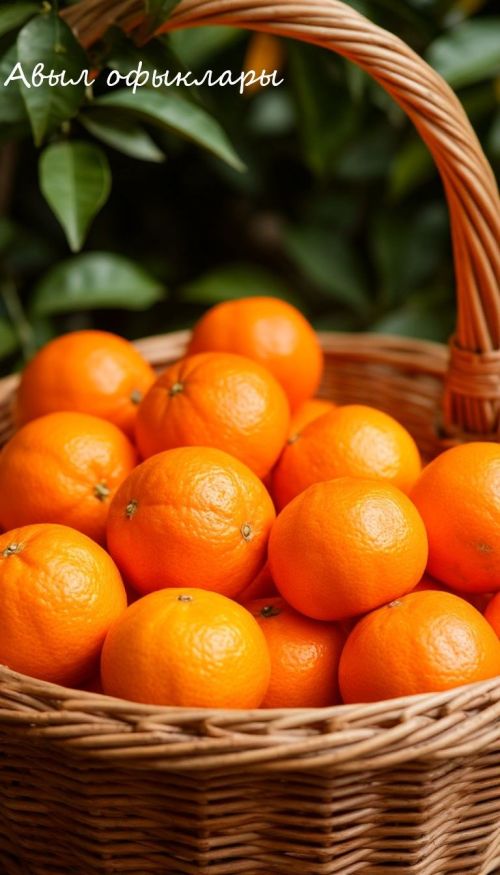 Как выбрать вкусные мандарины: советы биолога КФУ