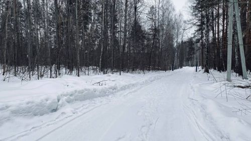 Гороскоп на 10 февраля 2025 года
