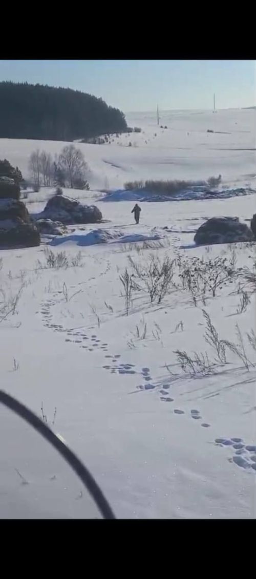 В республике стартовал зимний учёт животных