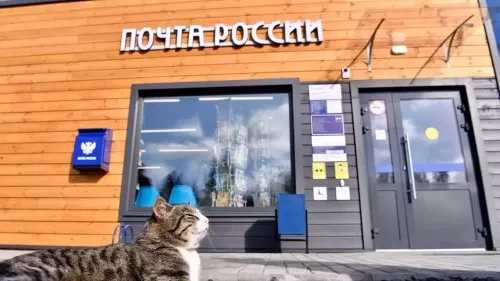Дан старт конкурсу «Земский почтальон»