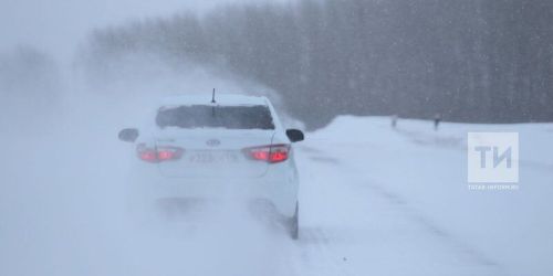 Внимание, водители и пешеходы!