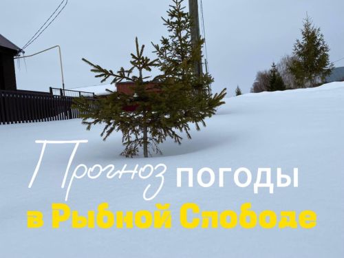 Какая погода ждет нас сегодня?