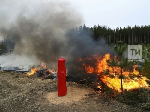 В Татарстане с 14 апреля вводится особый противопожарный режим
