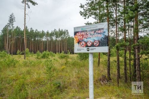 В Татарстане объявлено штормовое предупреждение из-за высокой пожароопасности лесов