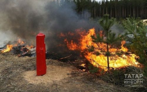 Штрафы за нарушение противопожарного режима в Татарстане на майские праздники увеличены вдвое