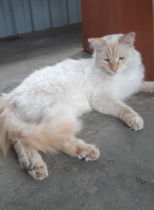 Погода на 5 августа
