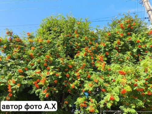 Приметы на 6 августа