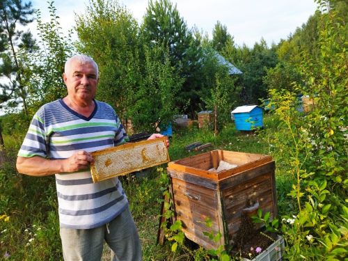 Габдулхай Кашапов: «Здесь природа совсем другая, от запаха соснового леса кружится голова»