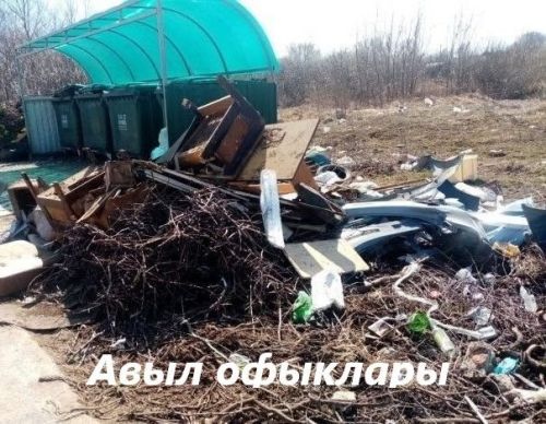 Эксперт объясняет размеры штрафов за выброс мусора на улице