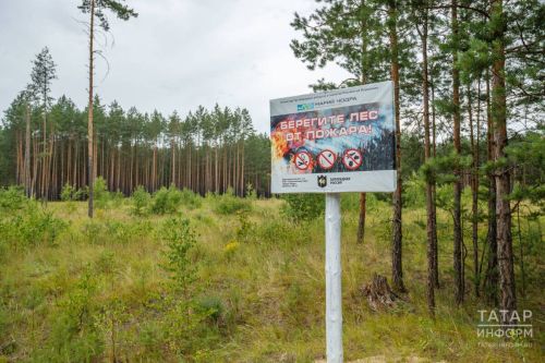 Минлесхоз: пожароопасный сезон в Татарстане завершится не раньше середины октября