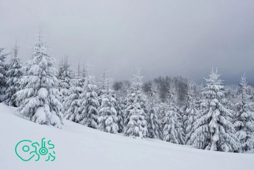 Границы 73 охотничьих хозяйств внесены в реестр недвижимости