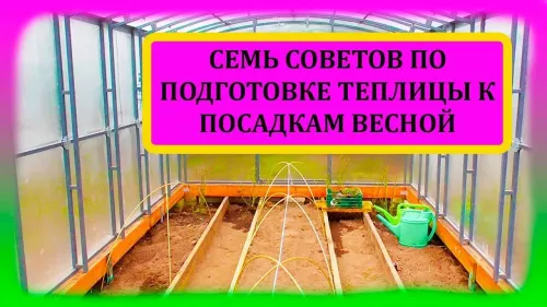 Как правильно подготовить теплицу к новому сезону выращивания овощей