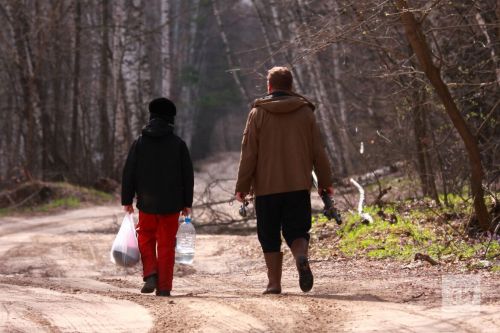 В Татарстане фиксируются случаи укусов клещей, превышающие прошлогодние показатели