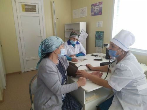 Как фельдшер Каусария Фатхуллина помогает односельчанам