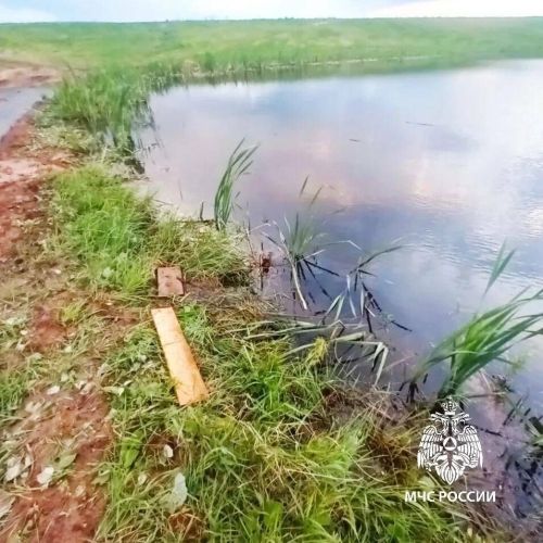 Несчастный случай на пруду: спасти молодого человека не удалось