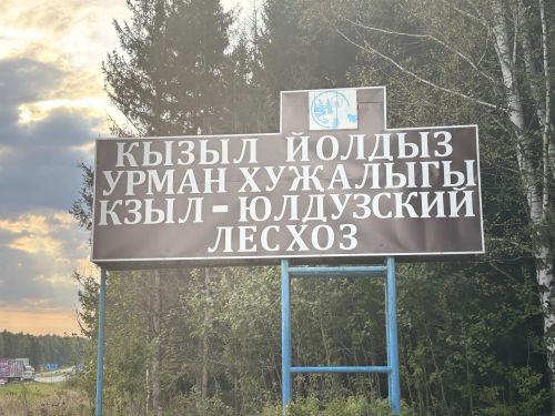 История и будни лесничества в Рыбно-Слободском районе
