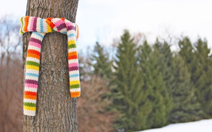 Если ты увидел шарф на дереве, не спеши искать его владельца. Вот что это означает!