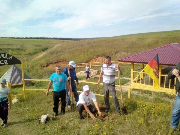 В селе Новый Арыш Рыбно-Слободского района посадили аллею памяти