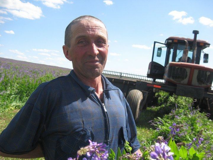 В хозяйствах Рыбно Солободского района   успешно идет заготовка кормов