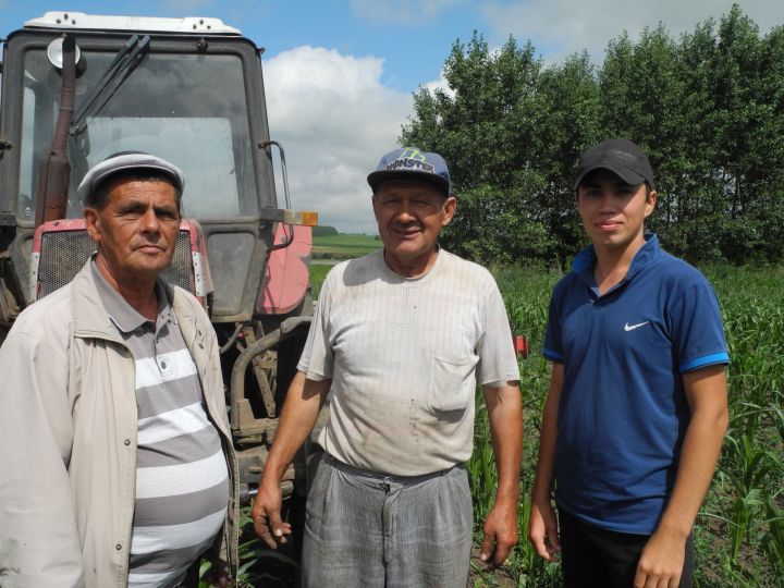 На полях хозяйства «Кама-Агро» Рыбно - Слободского района кипит работа
