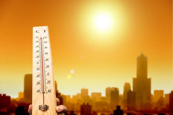 В ближайшие пять лет жителей Земли ожидает аномальная жара