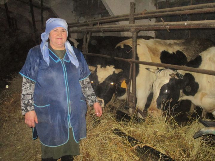 Зувария Загреева из крестьянско-фермерского хозяйства «Шамсутдинов» надаивает около 8 тысяч тонн молока