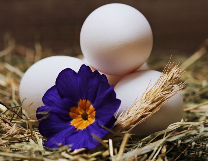 Почему опасно употреблять яйца, которые варились дольше 10 минут?