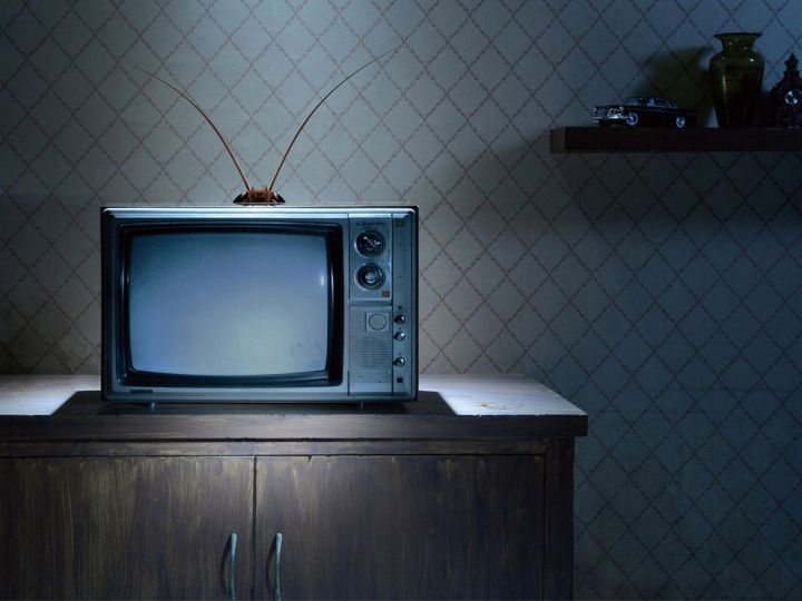 Как перейти на цифровое ТВ и не потерять региональные каналы?