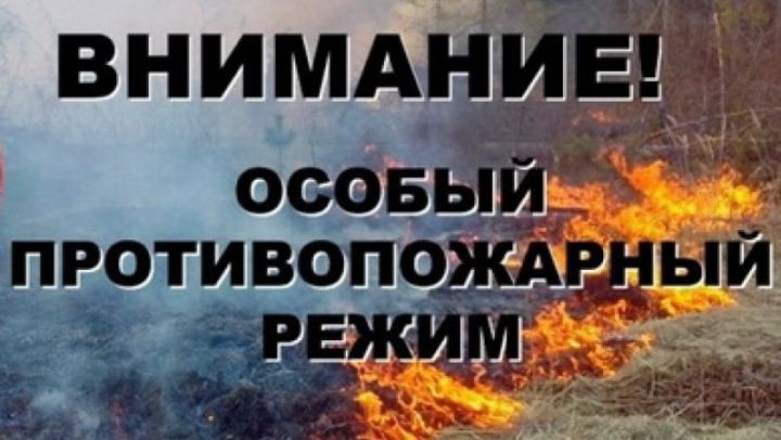 В Татарстане, в том числе и  вводится особый противопожарный режим